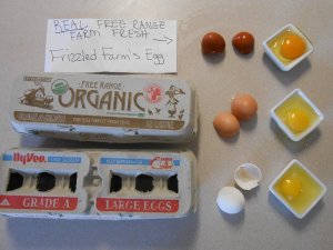 Real free-ranged, organic eggs compared to store bought regular and "organic" eggs.
