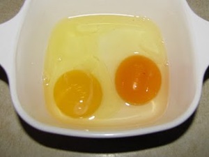 Store-bought (left) and free-ranged (right) side-by-side.  A pale yellow yolk--what most people think of as a fine breakfast egg--is actually a sign of a sickly, poorly fed, crowded and anemic laying hen.